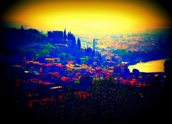 HP 3.1135 VERONA 2012 DP