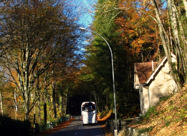 1641 LUX 2012 LM BusHerbst