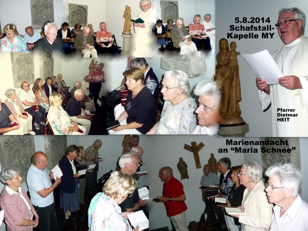 2014 SchafStKap Collage HP kl