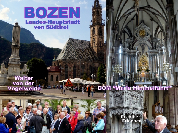 013 Coll Bozen dip HP