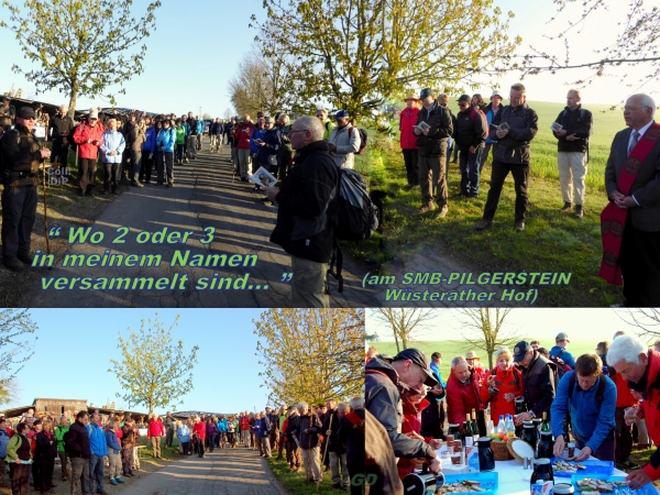 04 PSt WuestHof MY 2015