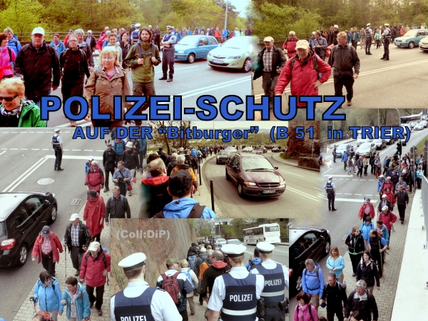 13 Polizeischutz TR 2015