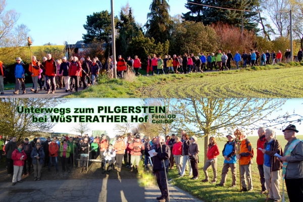 0 2016.4 SMB MatthWF 3 WuestHof Coll DiP