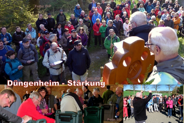 0 2016.4 SMB MatthWF 4 Duengenheim Coll DiP