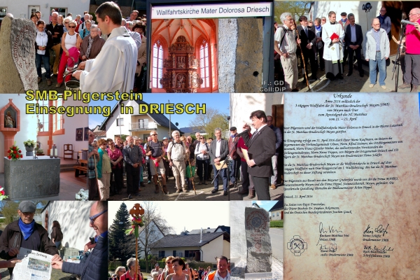 0 2016.4 SMB MatthWF 8 DRIESCH PSt Coll DiP