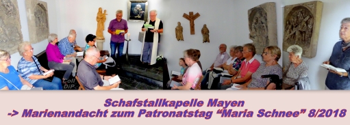 2018 SchafStallKap Coll DiP 3