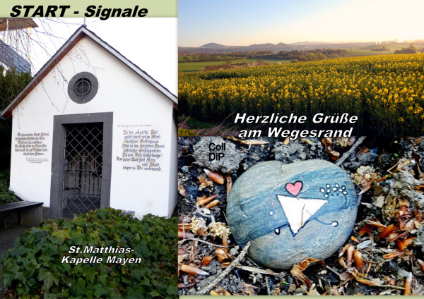 2020 SMB WF TR 2 START Coll DiP