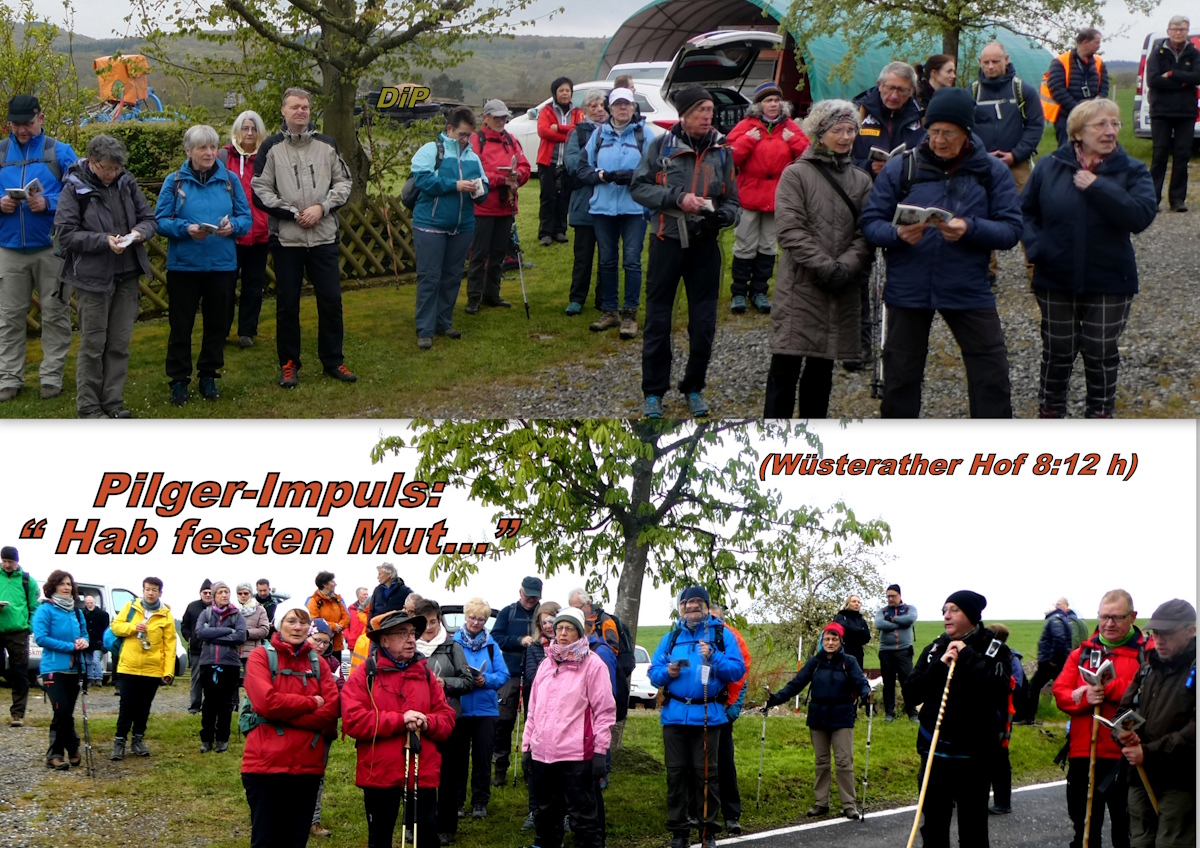 0 2024.4 SMB WF TR 1 Wusterather Hof IMPULS